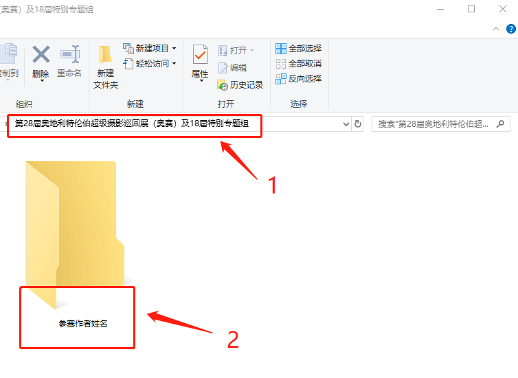 印度游泳东京湾冠军 提交作品要求及授权：HIPA竞赛相关规定全解析