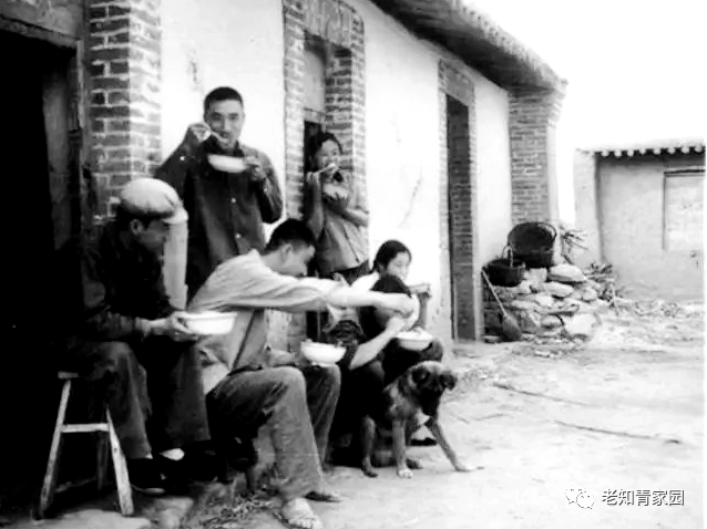 已婚男人基本常识核心 知青插队经历往昔：从离乡到返城的岁月记忆